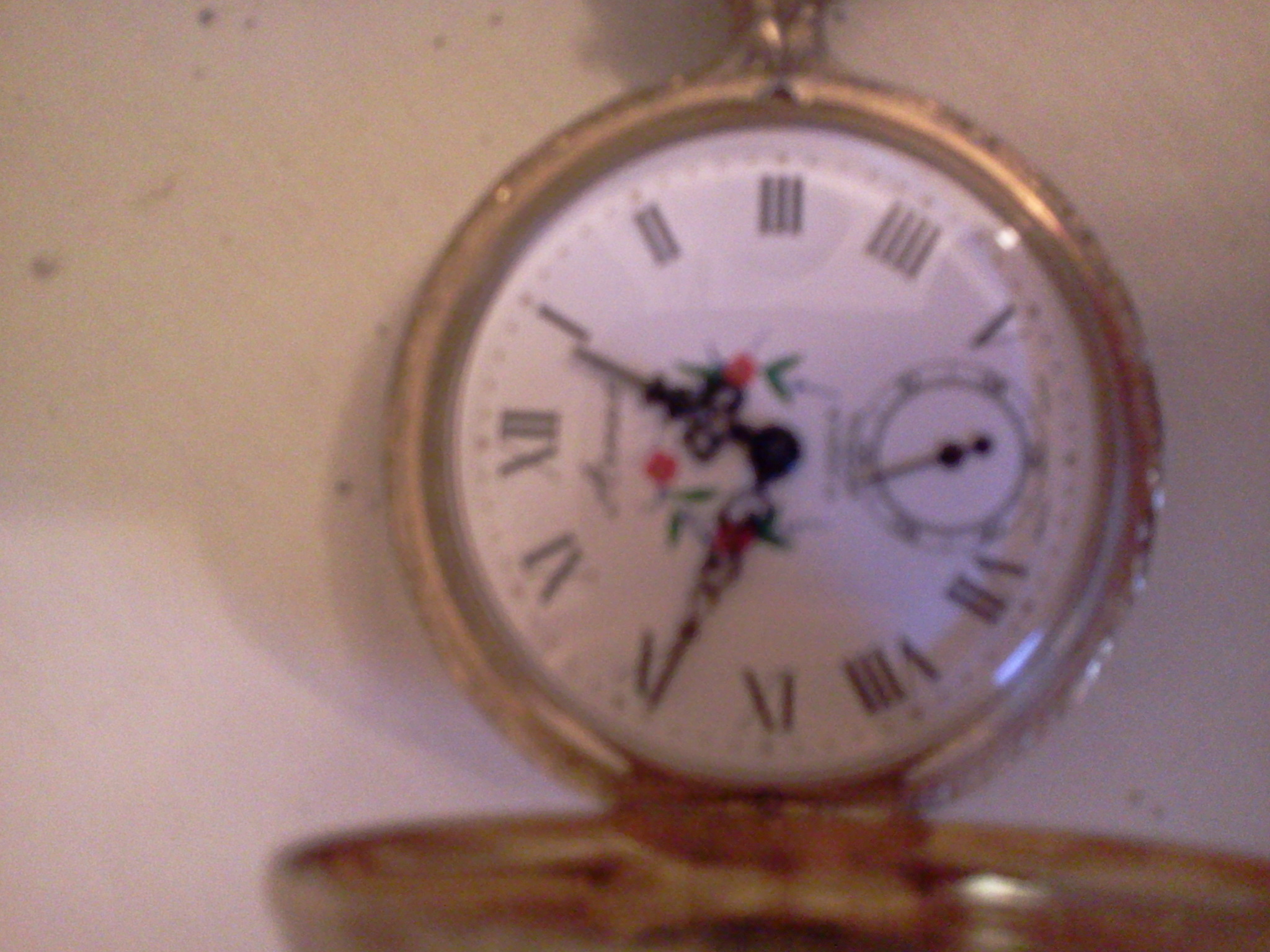 Arnex Swiss Made 17 jewels Fisherman pocket watch InstAppraisal